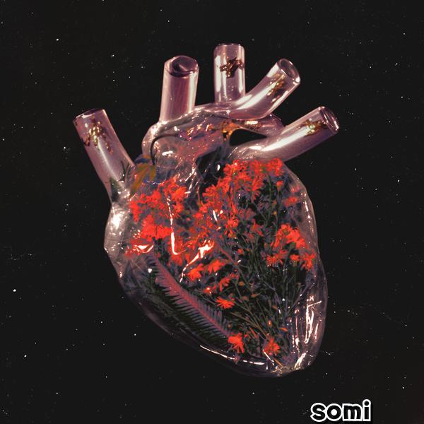 Image Cover